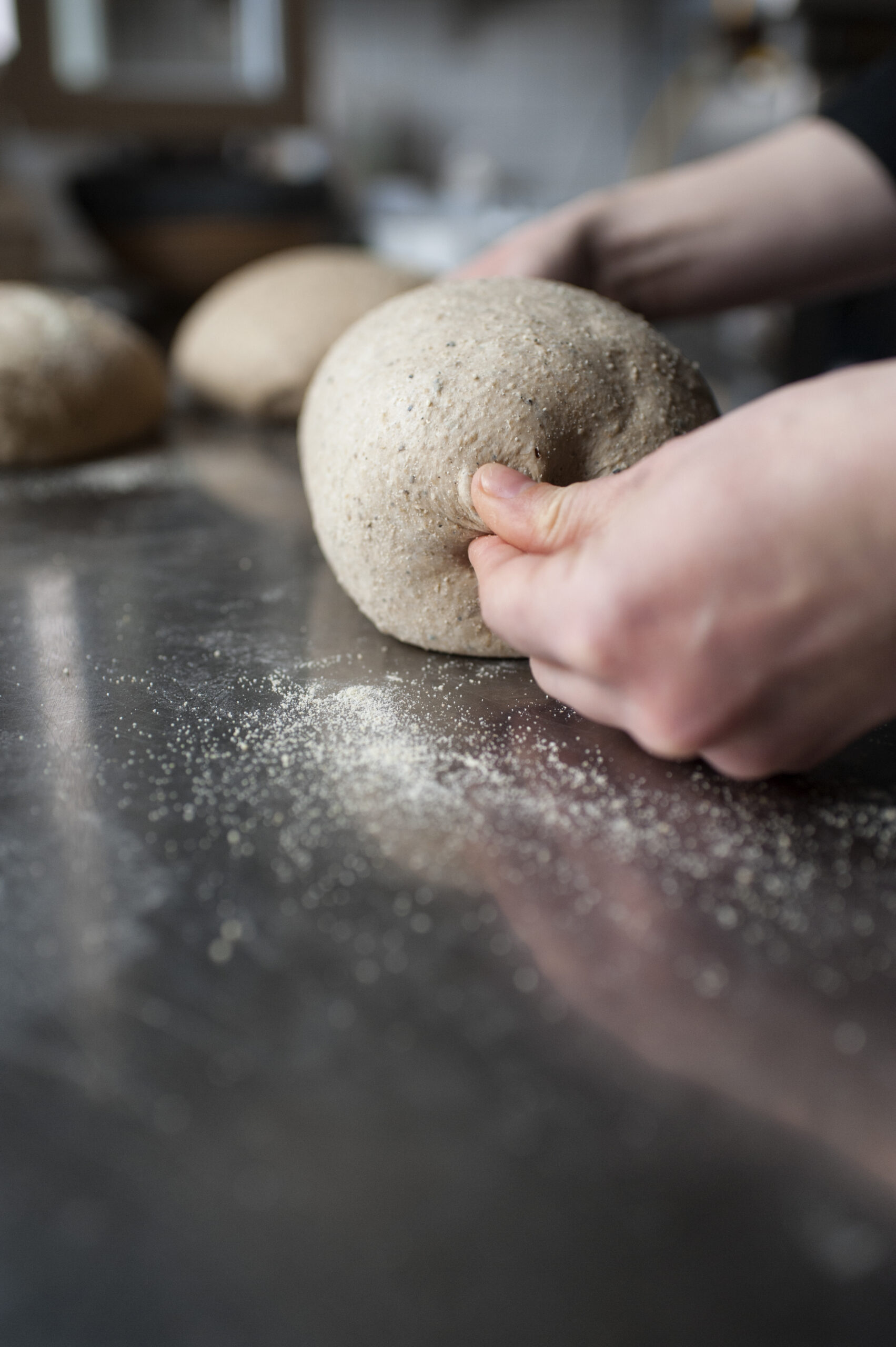 Scopri il menù della nostra trattoria sui Colli Euganei